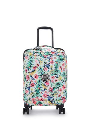Spontaneous Small Printed Rolling Luggage